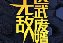 无敌医武废婿完整版小说,无敌医武废婿秦铭试读更新章节-星辰文学