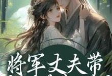 (全文)将军丈夫带白月光凯旋?我改嫁王爷萧定颐卫芙完结小说推荐将军丈夫带白月光凯旋?我改嫁王爷试读更新章节-星辰文学