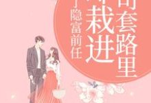 甩了隐富前任，却栽进上司套路里热门小说排行榜甩了隐富前任，却栽进上司套路里林昭陆景淮免费小说全本-星辰文学