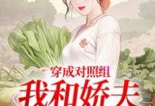 穿成对照组，我和娇夫杀疯了秦晏姜清妤完结小说推荐穿成对照组，我和娇夫杀疯了全本书籍阅读-星辰文学