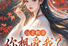 远走和亲，你想爱我？晚了完整版小说远走和亲，你想爱我？晚了(姜兰阮宜年)全章小说阅读-星辰文学