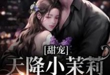 甜宠：天降小茉莉住进了我家沈津南林听完结小说推荐甜宠：天降小茉莉住进了我家全本书籍阅读-星辰文学