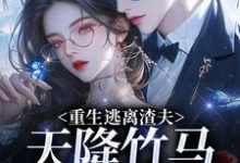 (全文)重生逃离渣夫,天降竹马太会钓(姜矜贺祈年)试读更新章节重生逃离渣夫,天降竹马太会钓免费小说-星辰文学