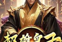 超雄皇子萧凡完结小说推荐,超雄皇子全章小说阅读-星辰文学