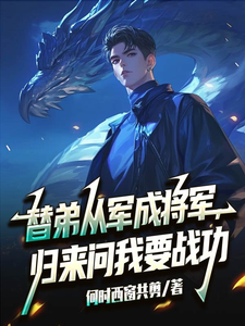 替弟从军成将军，归来问我要战功完整版小说，替弟从军成将军，归来问我要战功叶临渊全章小说阅读