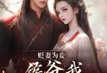 贬妻为妾,侯爷我不伺候啦推荐完结小说,贬妻为妾,侯爷我不伺候啦慎如余启免费小说全本-星辰文学