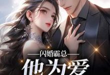 闪婚霸总,他为爱抛弃一切苏绿柔厉墨焱完结小说推荐闪婚霸总,他为爱抛弃一切全本书籍阅读-星辰文学