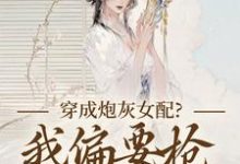 (全文)穿成炮灰女配？我偏要抢女主资源顾柠芸慕辰泽全本免费在线阅读-星辰文学