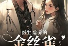 医生，您养的金丝雀要飞走了完整版小说医生，您养的金丝雀要飞走了(苏慕春丁嘉朗)全章小说阅读-星辰文学