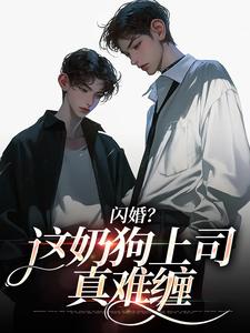 (全文)闪婚？这奶狗上司真难缠免费小说全本，赵芜鱼邓北辰试读更新章节