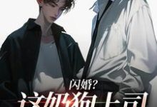 闪婚？这奶狗上司真难缠（赵芜鱼邓北辰）小说推荐闪婚？这奶狗上司真难缠全章小说阅读-星辰文学