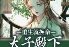 (全文)重生就换亲，太子殿下被钓翘嘴了热门小说排行榜，重生就换亲，太子殿下被钓翘嘴了宋婉宁萧承瑾全章小说阅读-星辰文学