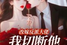 改嫁反派大佬，我切断他黑化根源！江知微萧著完结小说推荐，改嫁反派大佬，我切断他黑化根源！全章小说阅读-星辰文学
