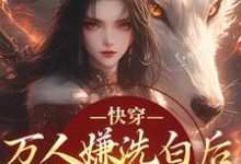 (全文)快穿：万人嫌洗白后成香饽饽了热门小说排行榜，快穿：万人嫌洗白后成香饽饽了林观贞裴钧全章小说阅读-星辰文学