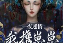 (全文)一夜迷情，我携崽崽俘获他热门小说排行榜，一夜迷情，我携崽崽俘获他云素予段凌霁全章小说阅读-星辰文学