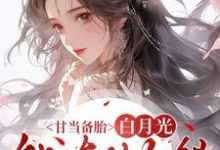 (全文)甘当备胎，白月光能有什么错沈青榕最新完结小说甘当备胎，白月光能有什么错免费阅读-星辰文学