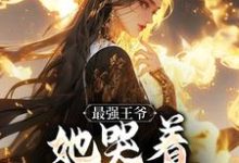 (全文)最强王爷：她哭着跟我求和完结小说推荐杨凡全本书籍阅读-星辰文学