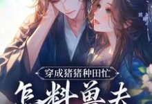 (全文)穿成猪猪种田忙，怎料兽夫太黏猪(穆九溪)全本免费在线阅读-星辰文学