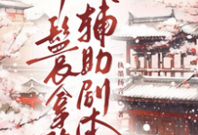 丫鬟拿稳辅助剧本完整版小说，丫鬟拿稳辅助剧本傅初霁全章小说阅读-星辰文学