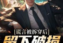 (全文)谎言被拆穿后,留下破损的婚姻(张齐)全本书籍阅读谎言被拆穿后,留下破损的婚姻免费小说全本-星辰文学