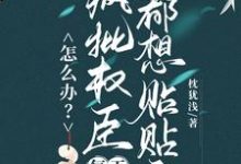 (全文)怎么办？疯批权臣每天都想贴贴我顾轻舟全本免费在线阅读-星辰文学