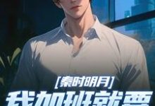 秦时明月:我加班就要被扣经验值推荐完结小说秦时明月:我加班就要被扣经验值(赵子珏)免费小说全本-星辰文学