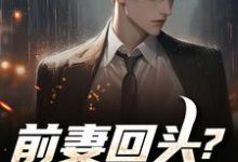 前妻回头？可惜，迟了！（秦风）全章小说阅读-星辰文学