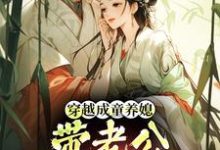 (全文)穿越成童养媳，带老公荒年发大财林十七全本免费在线阅读-星辰文学