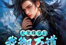 天龙珠拿后，我御万道吞四海江尘免费小说天龙珠拿后，我御万道吞四海推荐完结小说-星辰文学