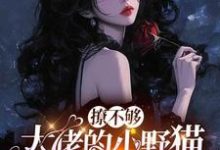 陆晨矅撩不够,大佬的小野猫又欲又嚣张全本免费在线阅读-星辰文学