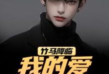 竹马降临，我的爱瞬间扫地（江书正）全本书籍阅读竹马降临，我的爱瞬间扫地完整版小说-星辰文学