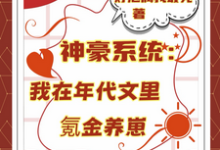 (全文)神豪系统：我在年代文里氪金养崽叶晓琳最新完结小说神豪系统：我在年代文里氪金养崽免费小说全本-星辰文学