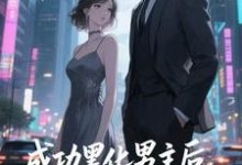 (全文)快穿：男主事业心呢，怎么全是恋爱脑完结小说推荐迦扬厄洛斯全本书籍阅读-星辰文学
