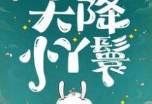天降小丫鬟夏夏完结小说推荐,天降小丫鬟全章小说阅读-星辰文学
