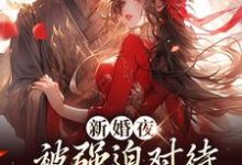新婚夜被强迫对待,这叫不近女色?谢临珩虞听晚完结小说推荐新婚夜被强迫对待,这叫不近女色?全本书籍阅读-星辰文学