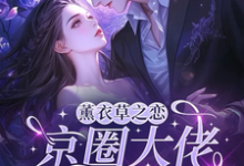薰衣草之恋，京圈大佬暗恋我热门小说排行榜薰衣草之恋，京圈大佬暗恋我宁清灵免费小说全本-星辰文学