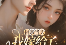 相亲当天,我嫁给了京都首富(蓝冉)全本书籍阅读相亲当天,我嫁给了京都首富完整版小说-星辰文学