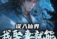 误入仙界，我娶妻就能天下无敌许世安热门小说排行榜误入仙界，我娶妻就能天下无敌免费小说-星辰文学