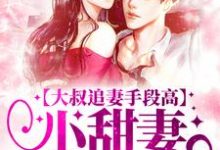 大叔追妻手段高，小甜妻逃不掉（叶柠谢聿礼）全本书籍阅读大叔追妻手段高，小甜妻逃不掉完整版小说-星辰文学