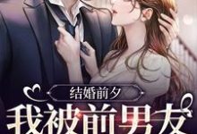 结婚前夕,我被前男友带走了最新章节阅读结婚前夕,我被前男友带走了(薄寒深曲南枝)试读更新章节-星辰文学