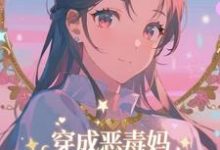 穿成恶毒妈,我氪金养出顶流娃推荐完结小说,穿成恶毒妈,我氪金养出顶流娃叶晓琳免费小说全本-星辰文学