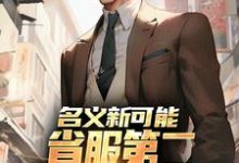 名义新可能：省服第二能否逆转大局萧承完结小说推荐，名义新可能：省服第二能否逆转大局全章小说阅读-星辰文学