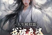 人生模拟器：我被老婆逼成世间极境推荐完结小说人生模拟器：我被老婆逼成世间极境(白棋陈北玄)免费小说全本-星辰文学
