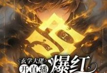 (全文)玄学大佬开直播，爆红阴阳两界（虞初见孟白首）全本书籍阅读玄学大佬开直播，爆红阴阳两界免费小说全本-星辰文学