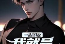 (全文)一品官运：我就是无冕之王（陈飞宇）试读更新章节一品官运：我就是无冕之王免费小说-星辰文学