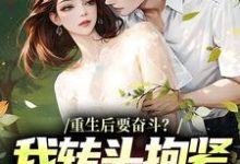 重生后要奋斗？我转头抱紧富婆大腿推荐完结小说重生后要奋斗？我转头抱紧富婆大腿(李子玉)免费小说全本-星辰文学
