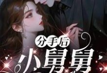 (全文)分手后，小舅舅夜夜洗床单沈锦悦最新完结小说分手后，小舅舅夜夜洗床单免费小说全本-星辰文学