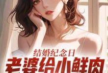 结婚纪念日，老婆给小鲜肉打榜应援叶一帆免费小说结婚纪念日，老婆给小鲜肉打榜应援推荐完结小说-星辰文学