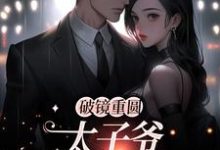 破镜重圆：太子爷他太霸道推荐完结小说破镜重圆：太子爷他太霸道(黎念靳宴深)免费小说全本-星辰文学