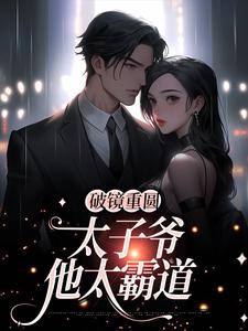 破镜重圆：太子爷他太霸道完整版小说破镜重圆：太子爷他太霸道(黎念靳宴深)全章小说阅读